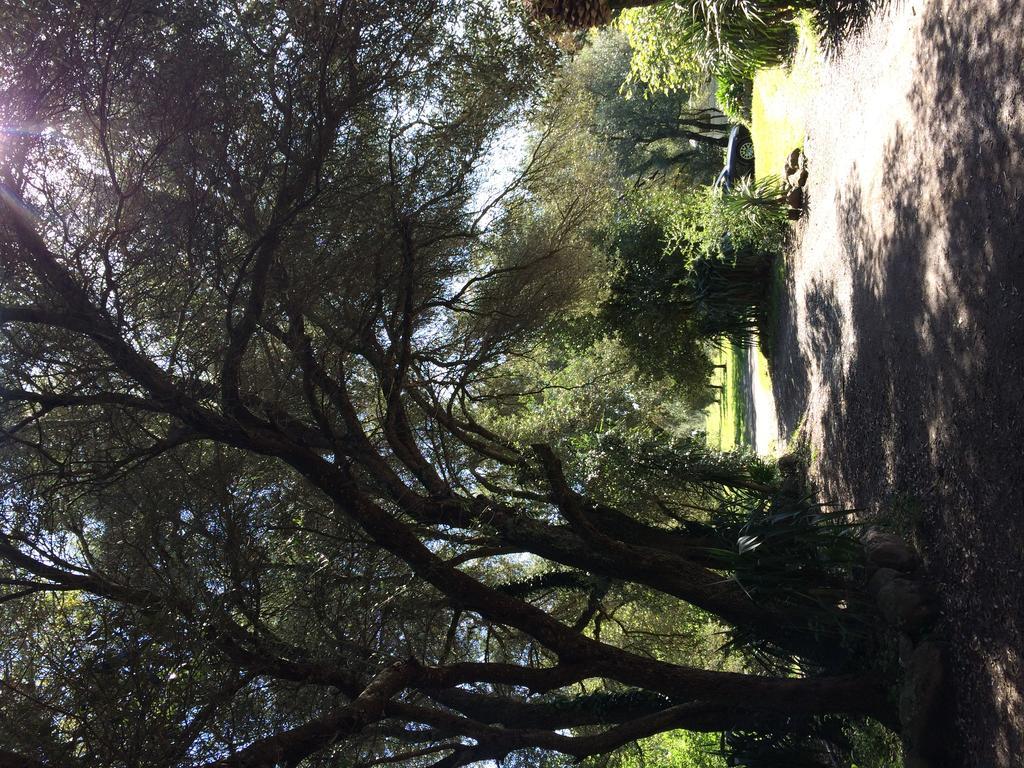 Gite U Licetu A La Campagne Oreta 外观 照片