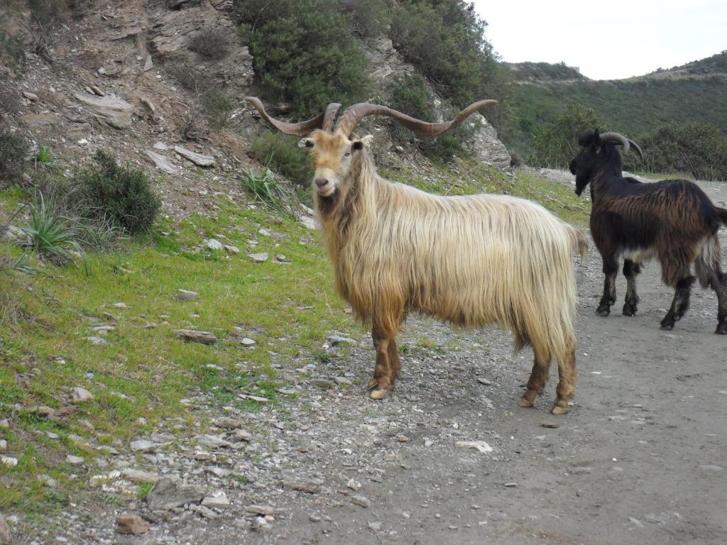 Gite U Licetu A La Campagne Oreta 外观 照片