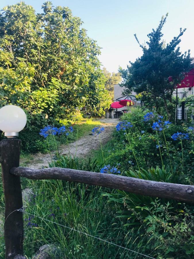 Gite U Licetu A La Campagne Oreta 外观 照片